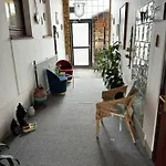 Ferien-whg Stuenkel Nahe Steinhuder Mit Garten Und Balkon * Steinhude