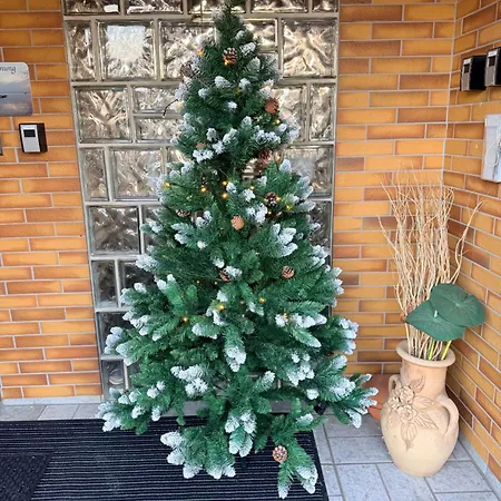 Ferien-whg Stuenkel Nahe Steinhuder Mit Garten Und Balkon アパート *